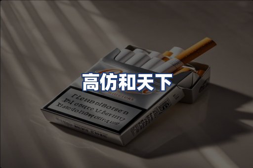高仿和天下